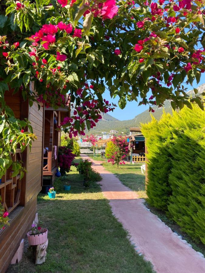 Karaoez Ada Bungalows & Villa Екстер'єр фото