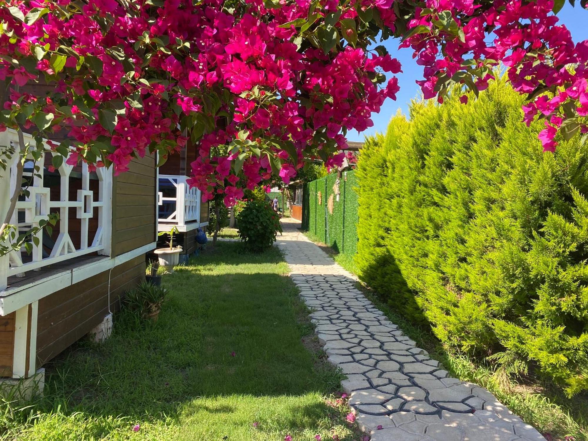 Karaoez Ada Bungalows & Villa Номер фото