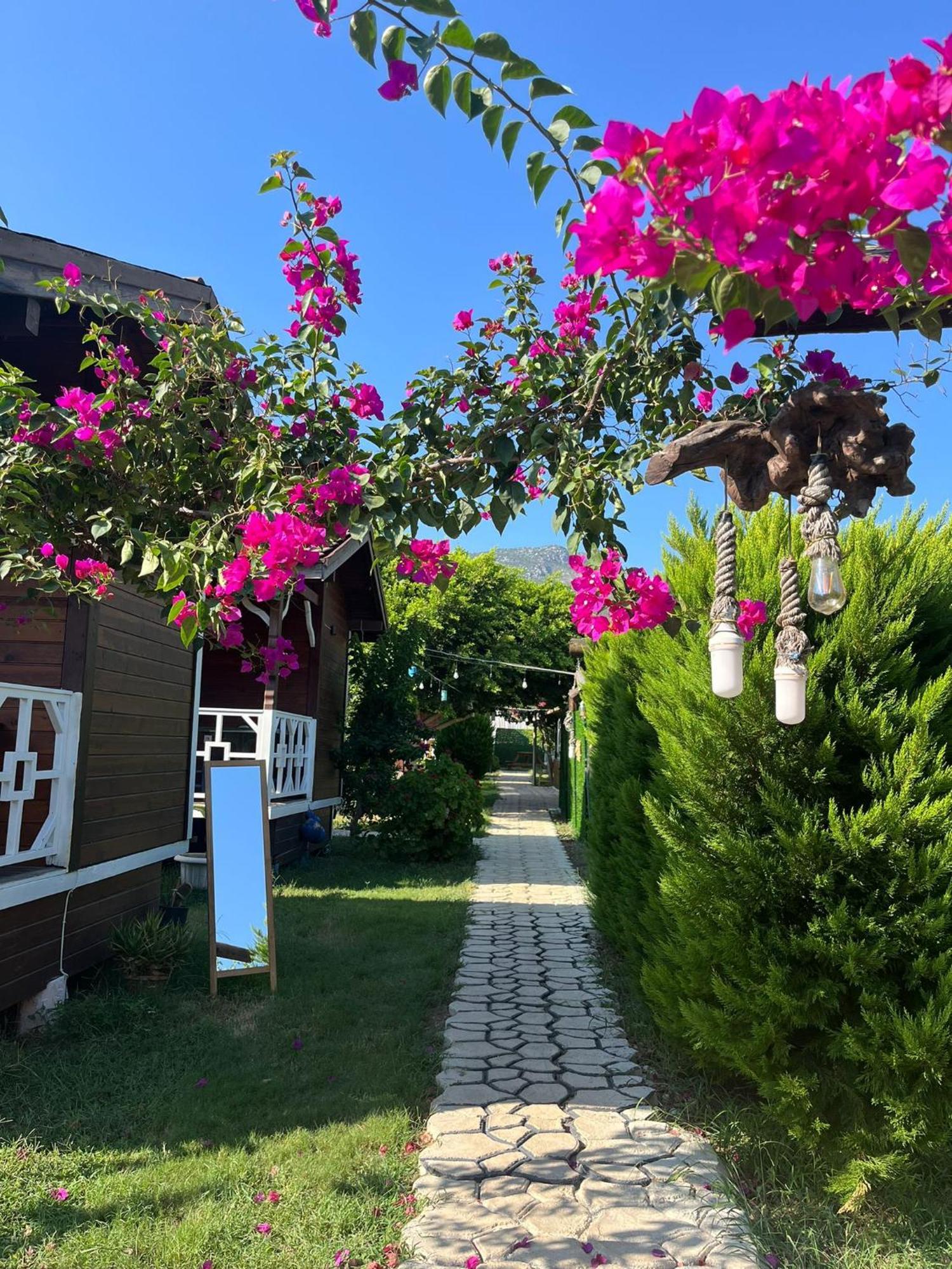 Karaoez Ada Bungalows & Villa Екстер'єр фото
